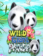 วิธีเล่น เว็บ สล็อต ออนไลน์ ฝาก ถอน ไม่มี ขั้น ต่ํา ให้ได้เงิน